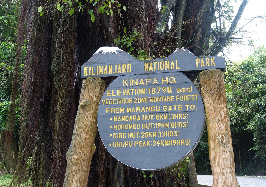 Horombo to Marangu Gate